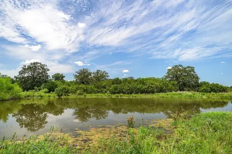 Wooded Agricultural Land with Pond