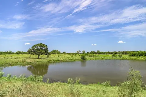 Open Pasture Agricultural Land