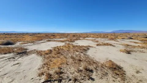 Expansive Land Parcel Opportunity