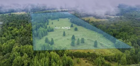 Agricultural Land with Creek