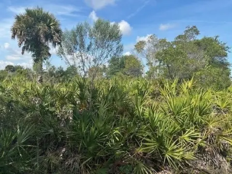 Okeechobee Land For Sale