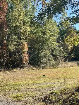 Cleared Land in Cross, SC