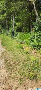 Unrestricted Acreage with Road Access