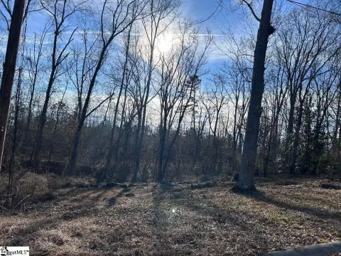 Residential Lot in Fountain Inn