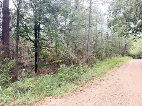 Wooded Recreational Land