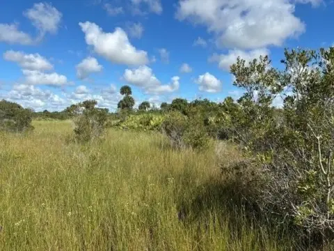 Okeechobee Land For Sale