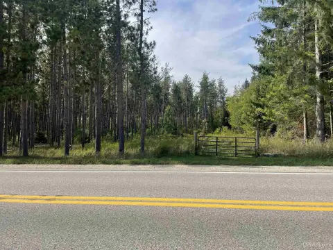 Manistique Vacant Land on M-94
