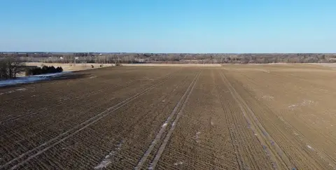 Productive Farmland Near Austin, MN