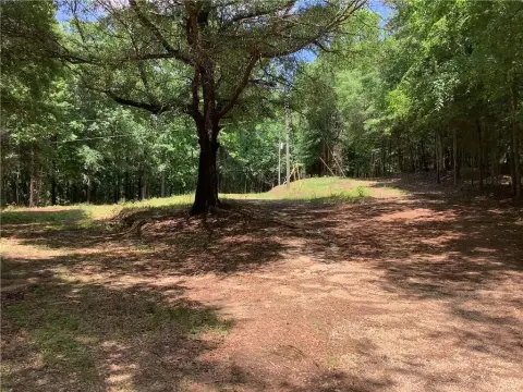 3+ Acre Rural Property