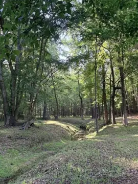 Rare Estate Lot Opportunity