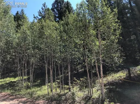 Land in Colorado Mountain Estates