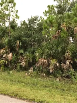 Port Charlotte Homesite Near Beaches