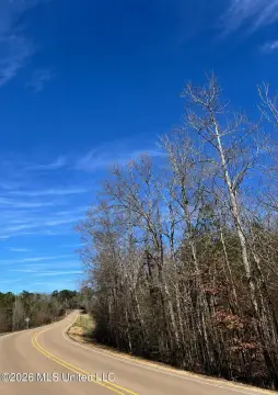 9 Acres Wooded Land