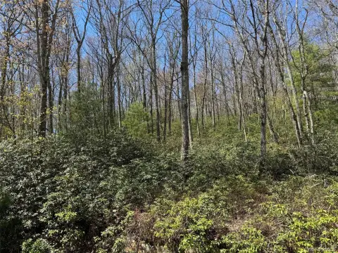 Port Jervis Land Parcel