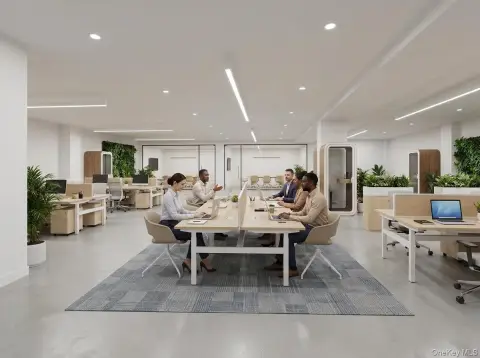 Basement Flex Space