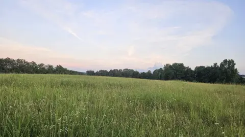Timbered Hunting Tract with Pasture