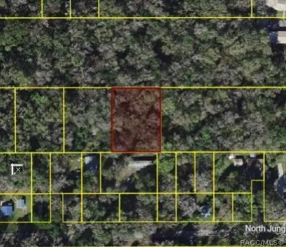 Residential Lot Near Withlacoochee River