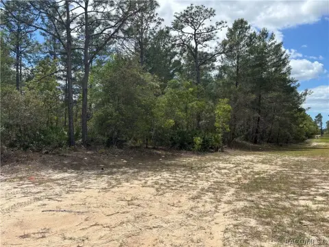 Dunnellon, FL 5+ Acre Land