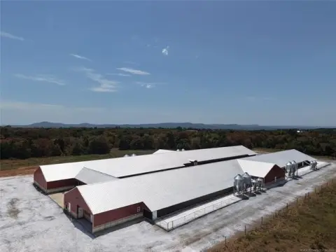 Modern Poultry Breeder Farm