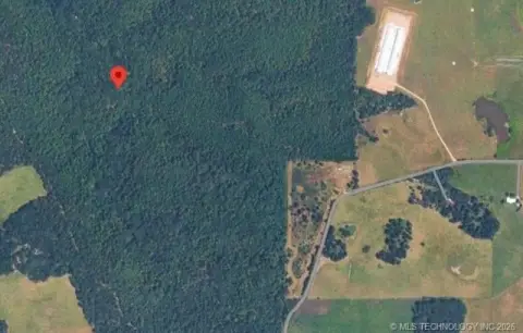 Wooded Hunting Land