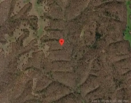 Wooded Recreational Land