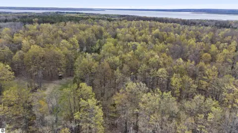 Recreational Hunting Land Tract