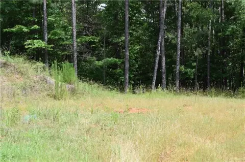 6.2 Acres Ready to Build