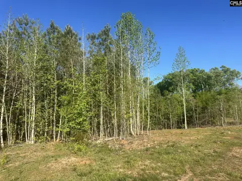 Pomaria Land in Mid Carolina