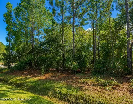 Navigable Waterfront Homesite Lot