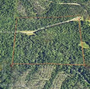 Wooded Waterfront Recreational Land