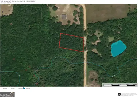 Wooded Lot in Hazlehurst, GA