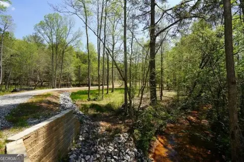 Gently Sloped Acreage with Conn Creek