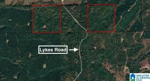 Rural Hunting and Recreation Land