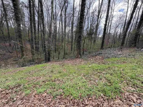Unrestricted Land in Albertville, AL