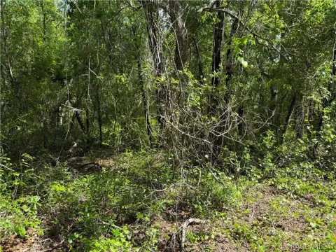 Inverness Wooded Homesite Opportunity