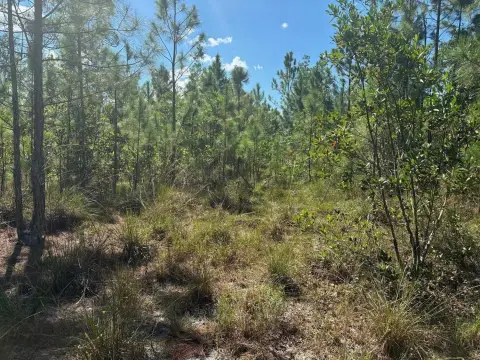 5+ Acre Hunting Land