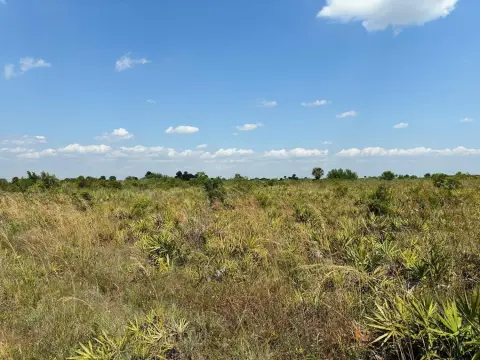 Okeechobee Agricultural Land For Sale