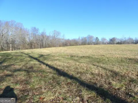 C1 Commercial Land