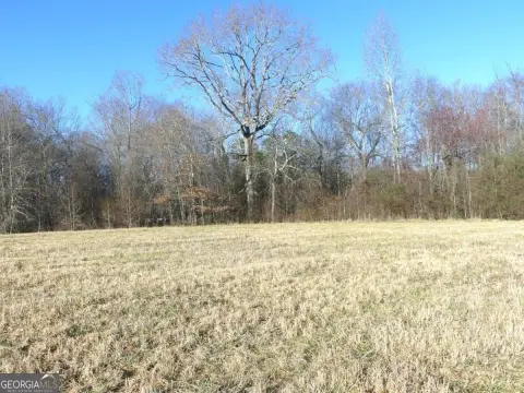 C1 Commercial Land Tract