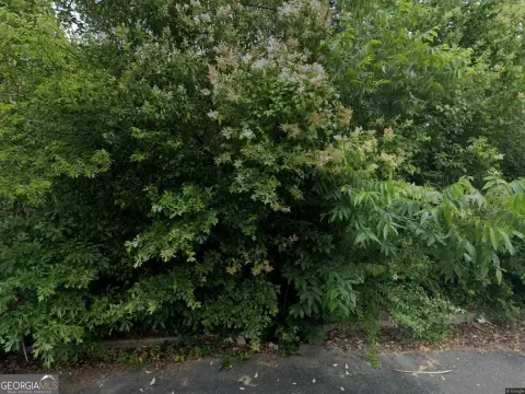 Residential Lot in Macon, GA