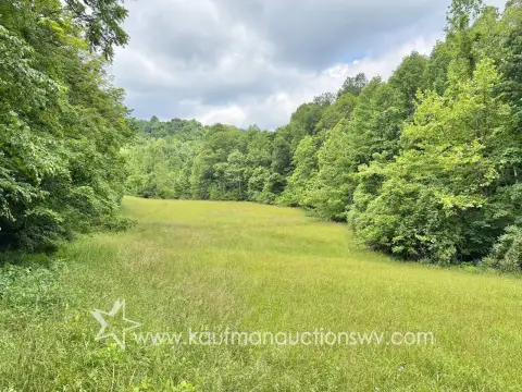 Mature Timber Land with Road Access