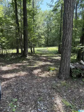 Water-Adjacent Homesite Lot