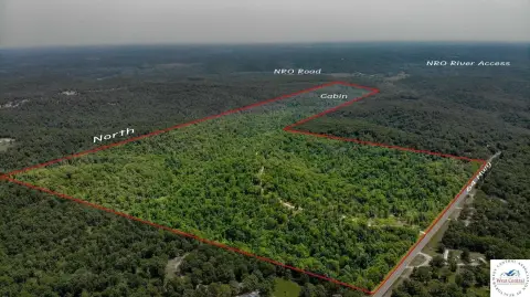 40 Acres of Timber Land