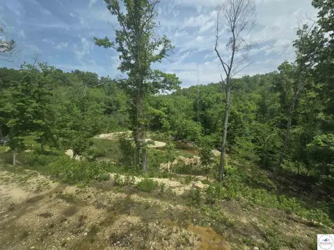 40+ Acres Near Niangua River