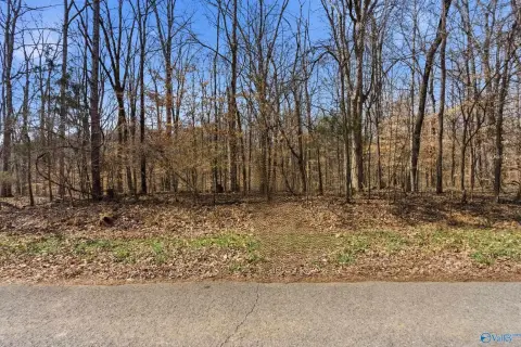 Wooded Lot in Elkmont, AL