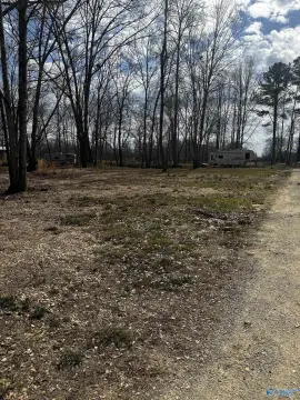 Waterfront Land in Cedar Bluff