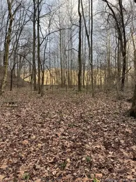 53.9 Acres Wooded Hunting Land