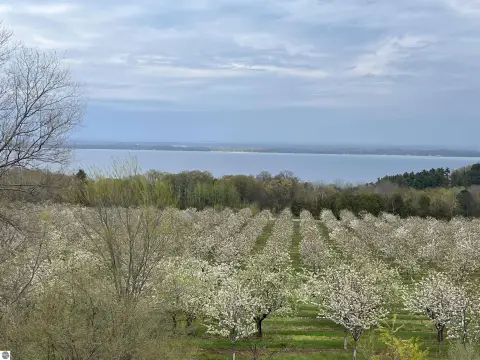 Cherry Farm Land with Ridge Views