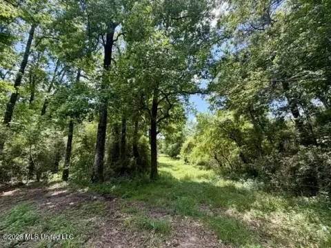 Tylertown Land with Timber