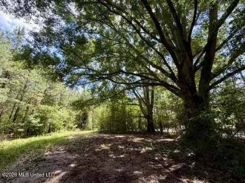 23 Acre Recreational Land, Tylertown